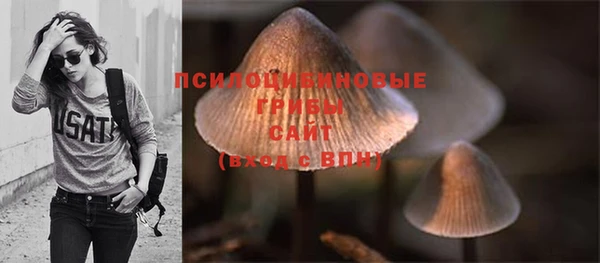 MDMA Корсаков