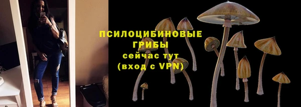 мдпв Козельск